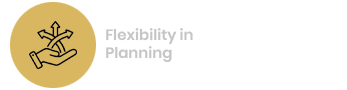 Flexibility in Planning 